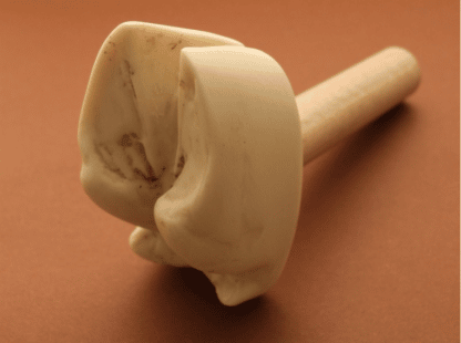 Damhirsch Fährte – Bild 2