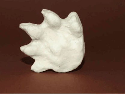 Fischotter Fährte (vorne + hinten) – Bild 3