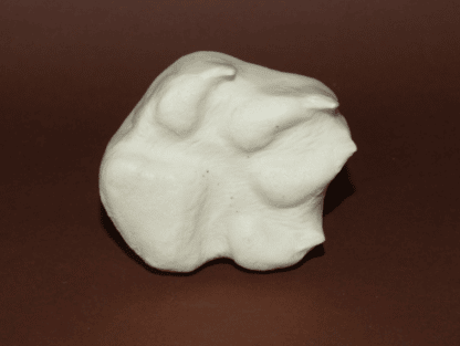 Hund Fährte – Bild 2