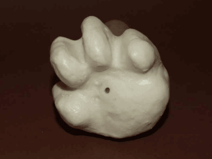 Luchs Fährte (schleichend) – Bild 2